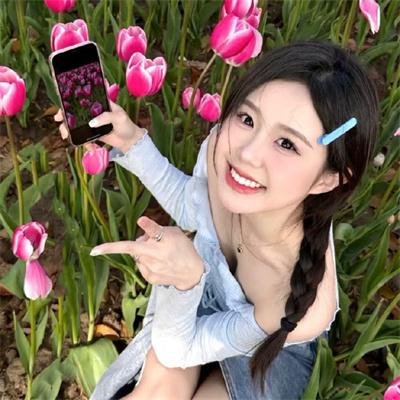 完美的主人